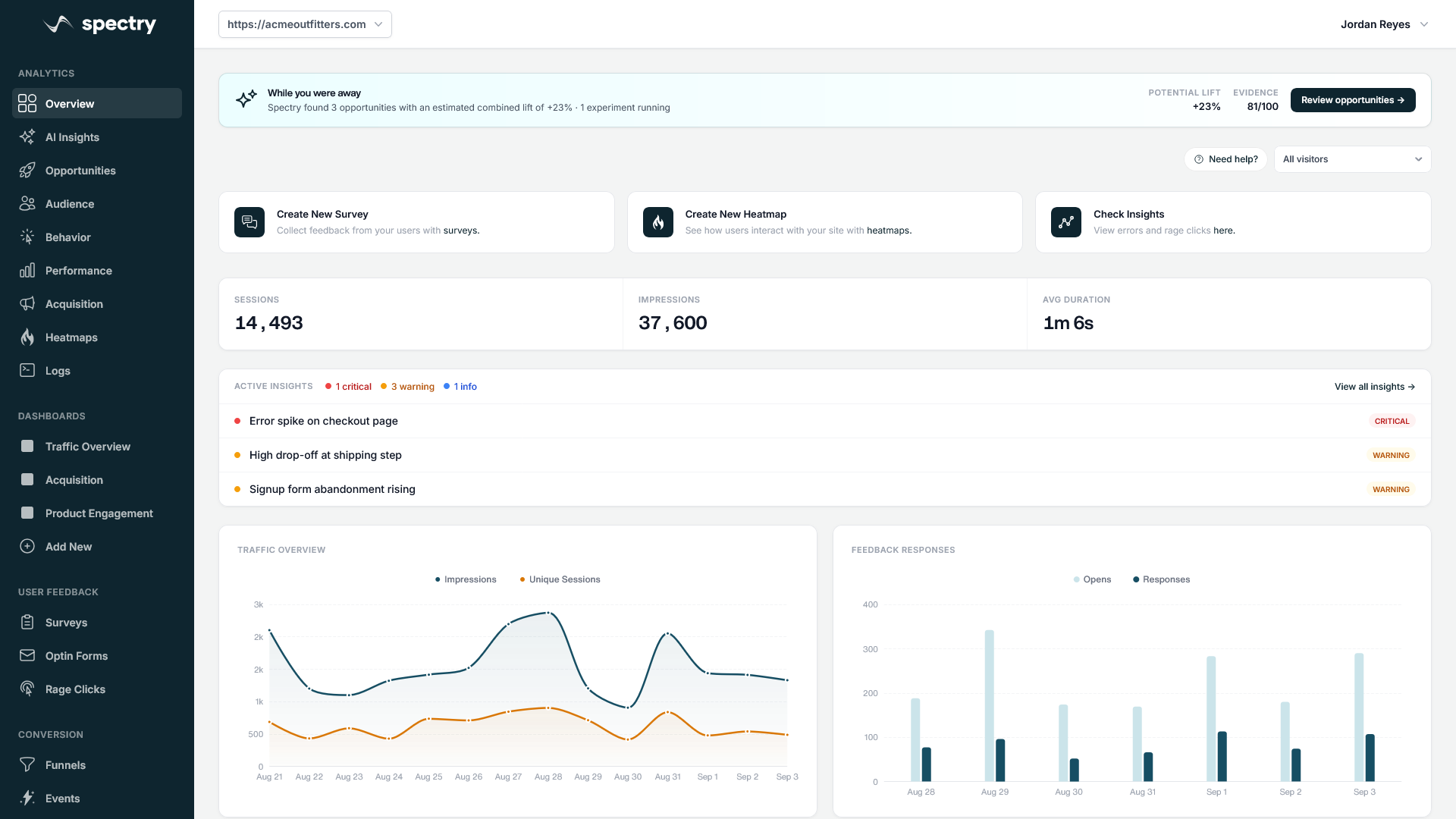 The Spectry analytics overview for a client site